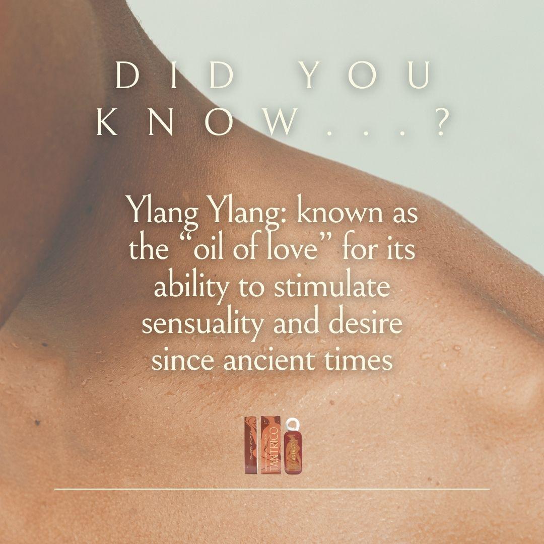 TANTRICO - Flirt and Seductive Massage Oil