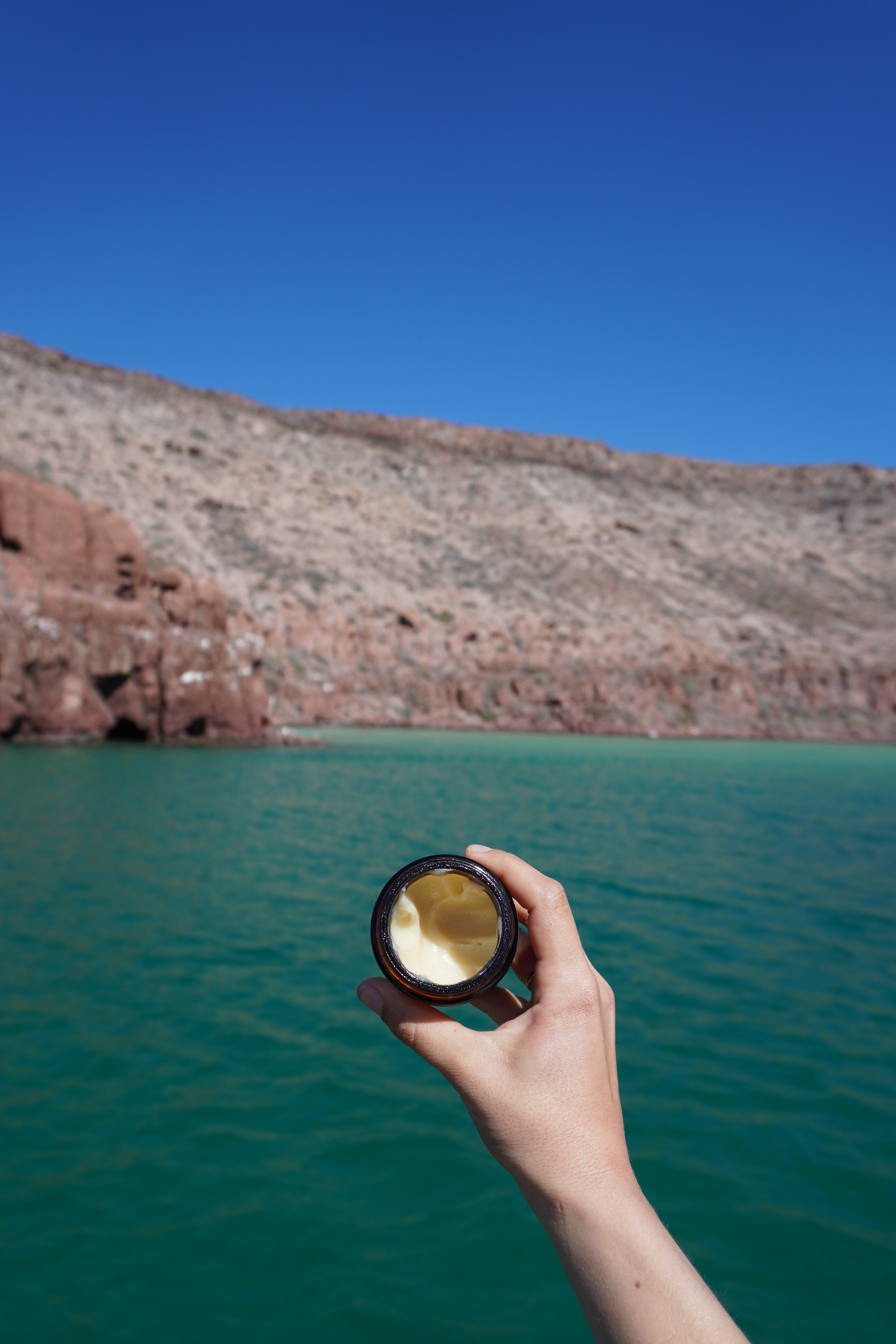 Tallow with Lemongrass + Basil