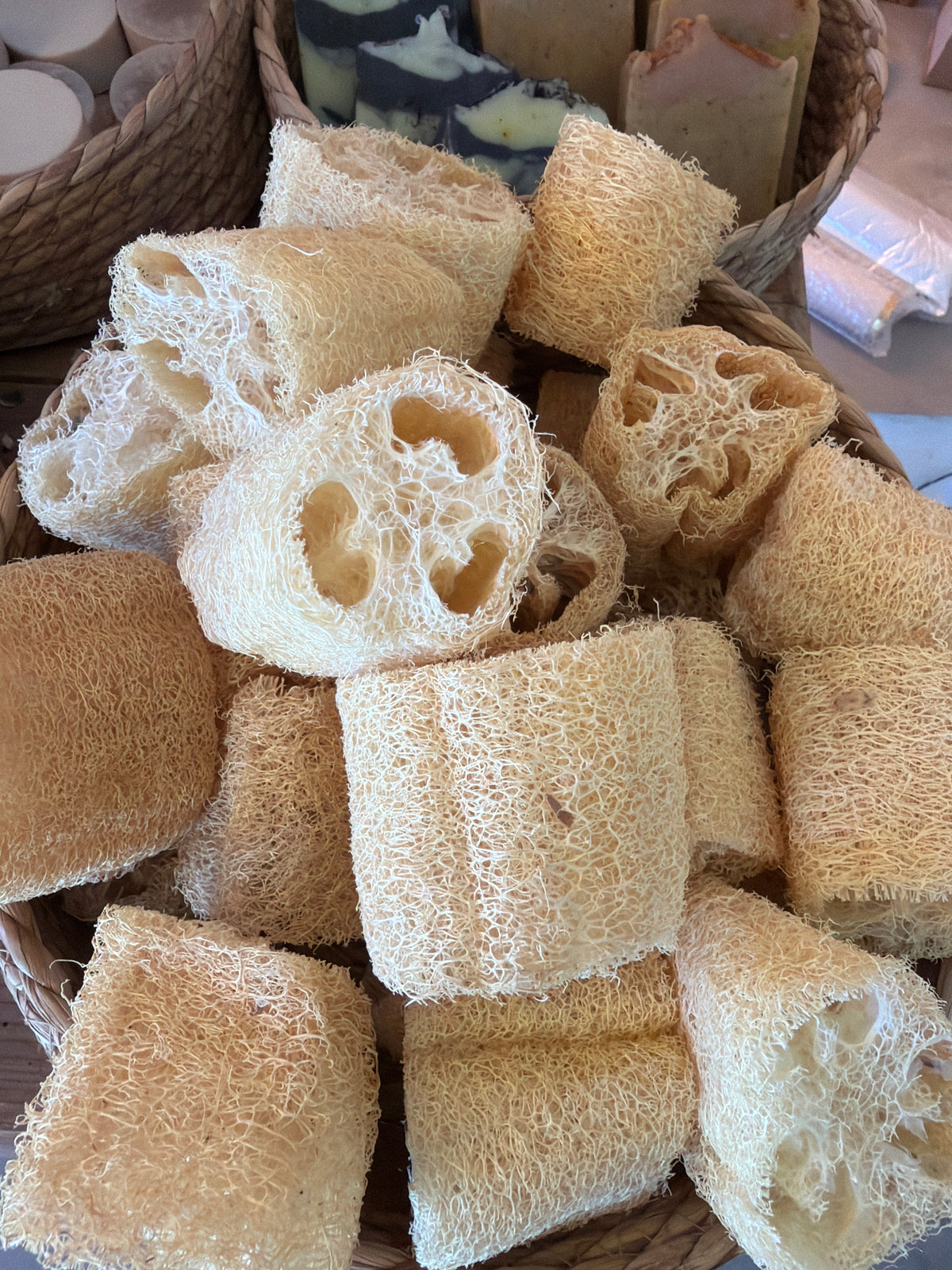Esponja natural natural sponge