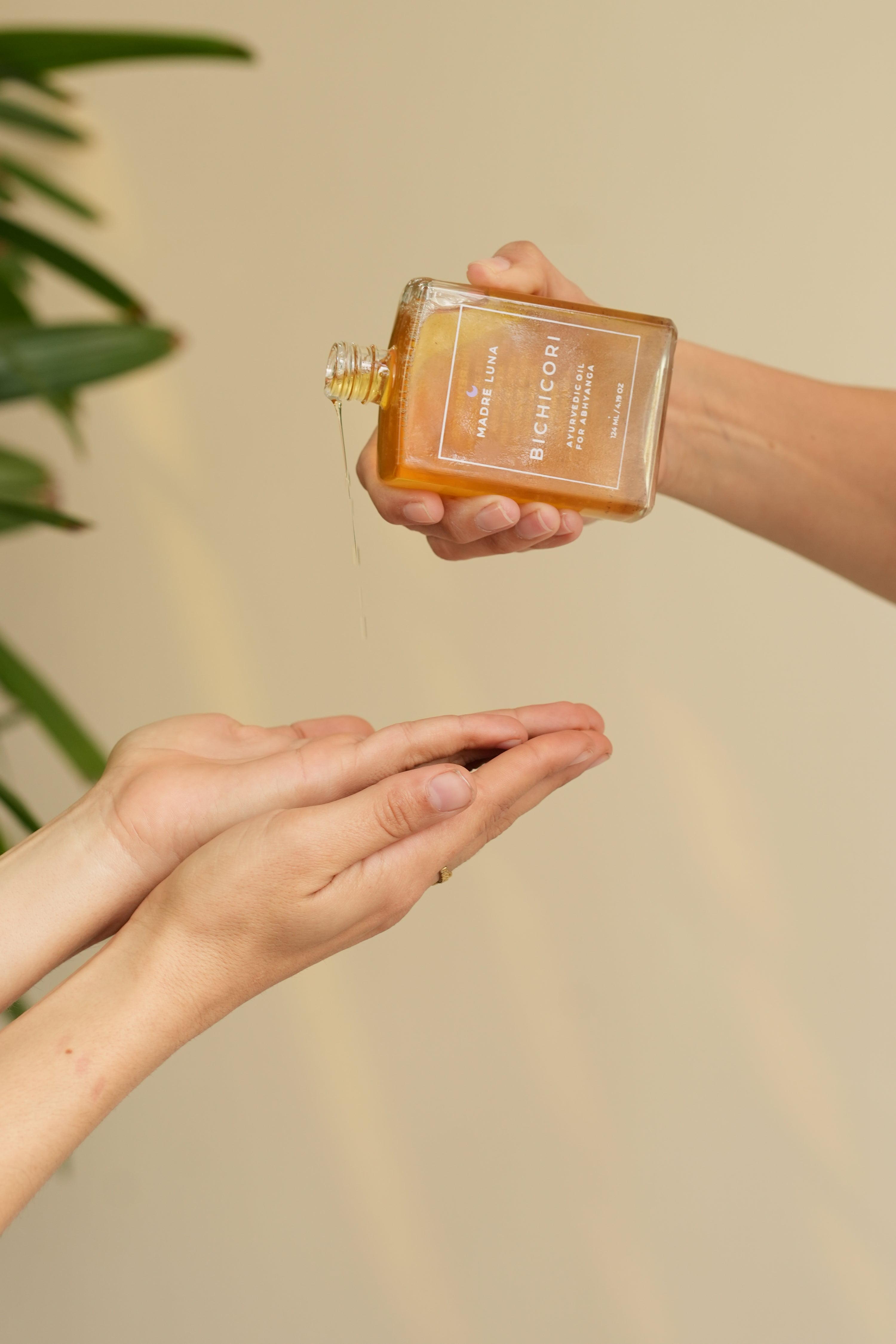 BICHICORI- BODY OIL