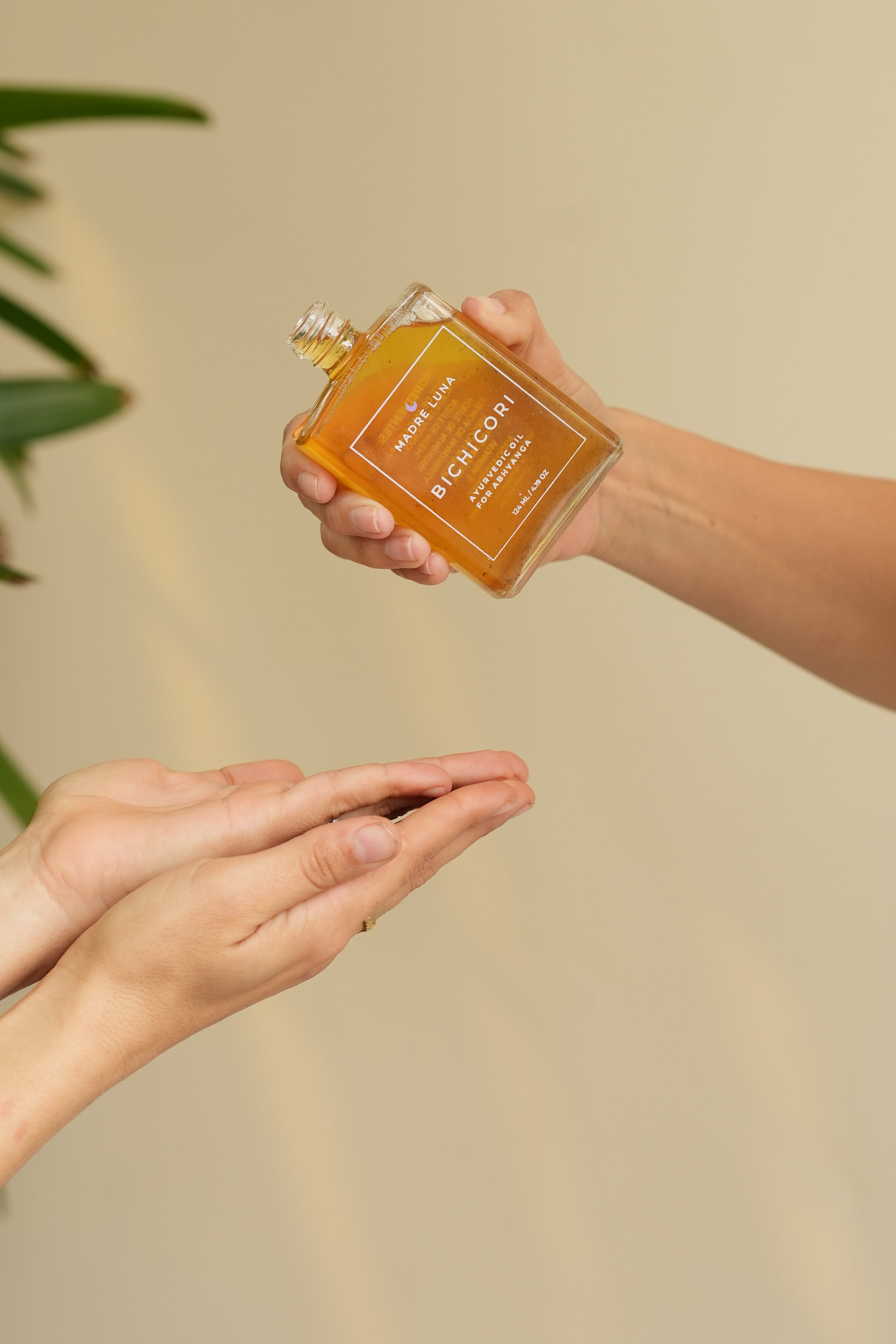 BICHICORI- BODY OIL