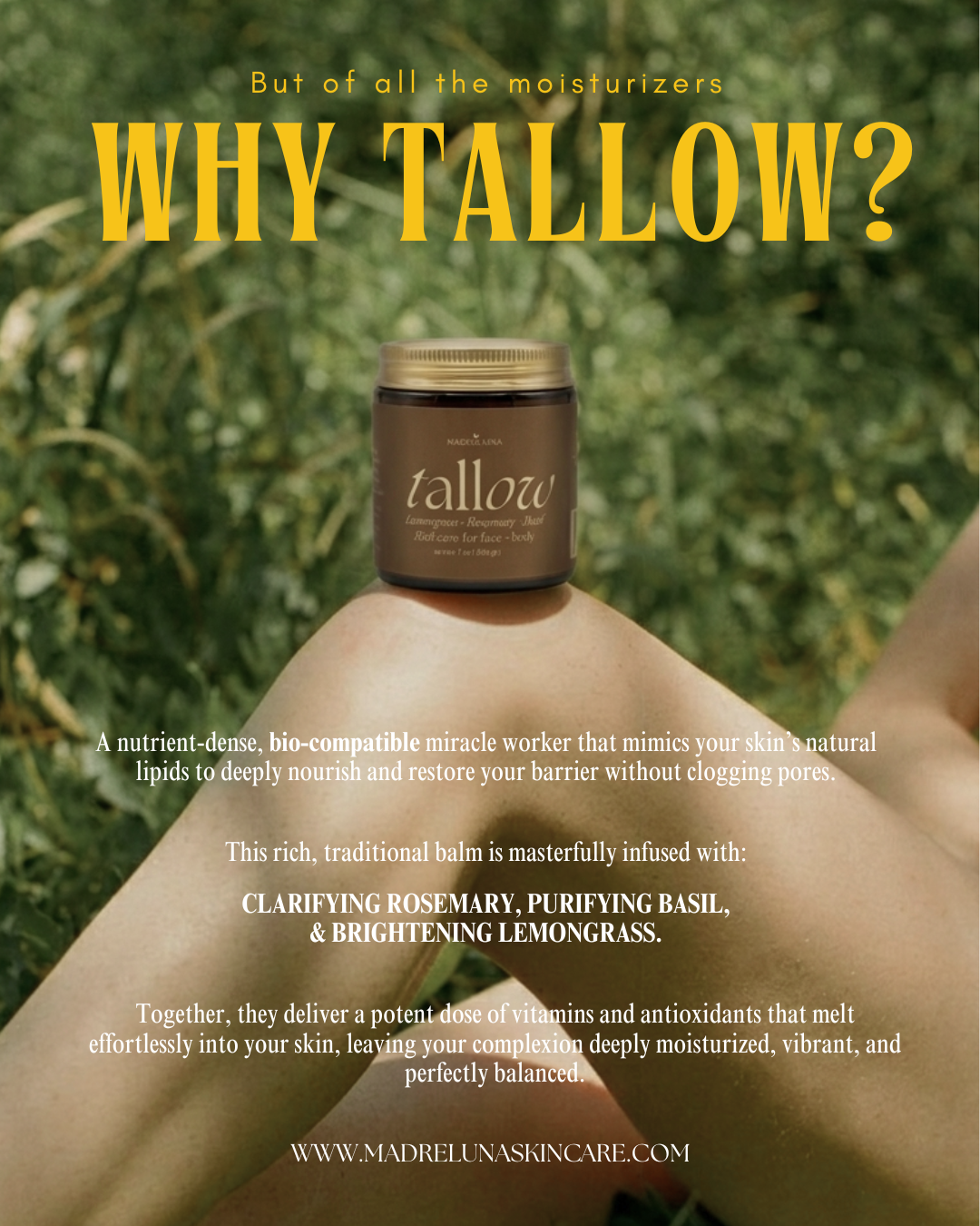 Tallow with Lemongrass + Basil