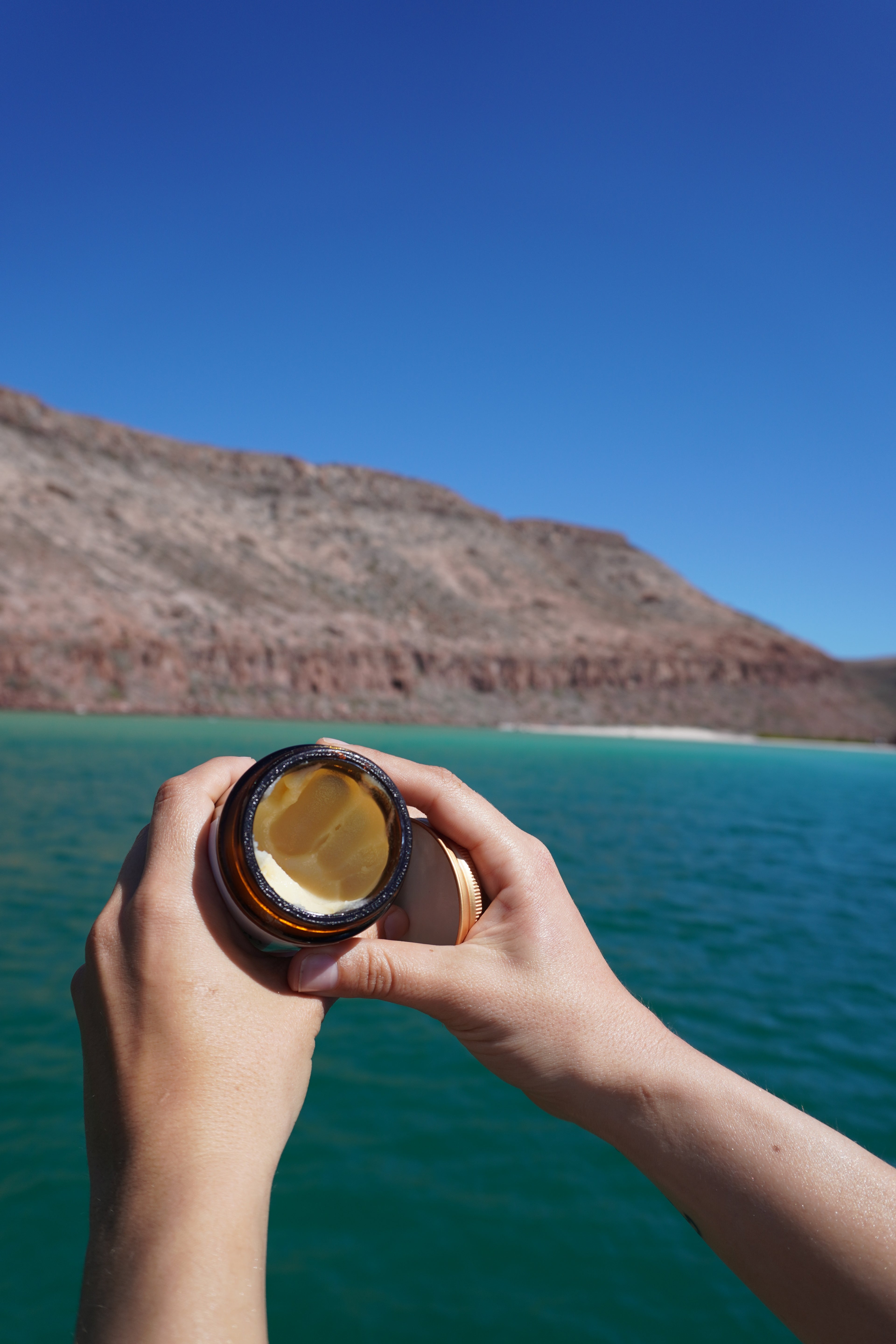 Tallow with Lemongrass + Basil