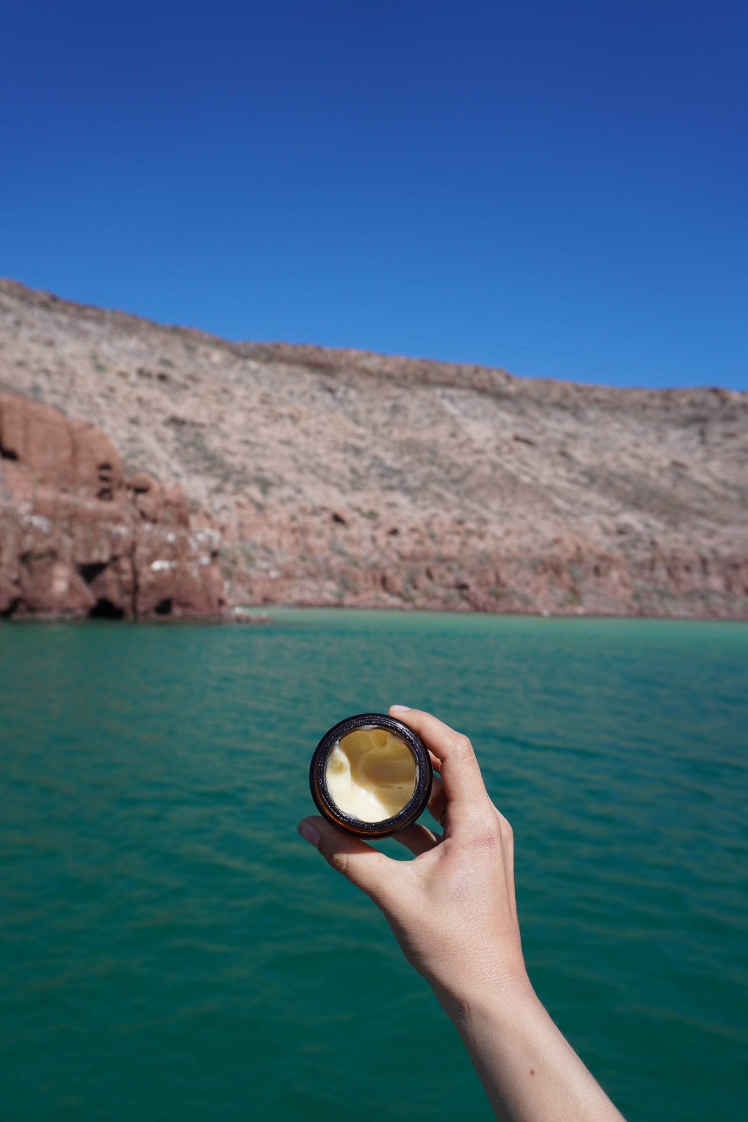 Tallow with Lemongrass + Basil