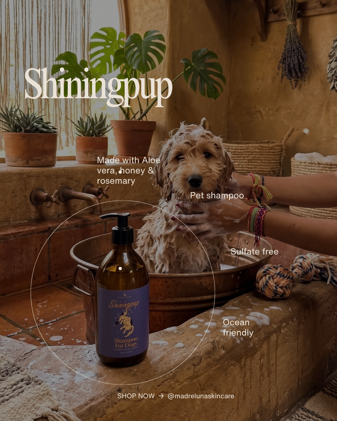 Champú para cachorros Brillante