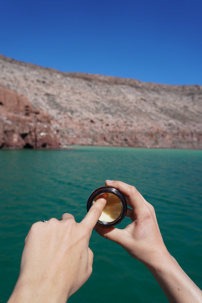 Tallow with Lemongrass + Basil