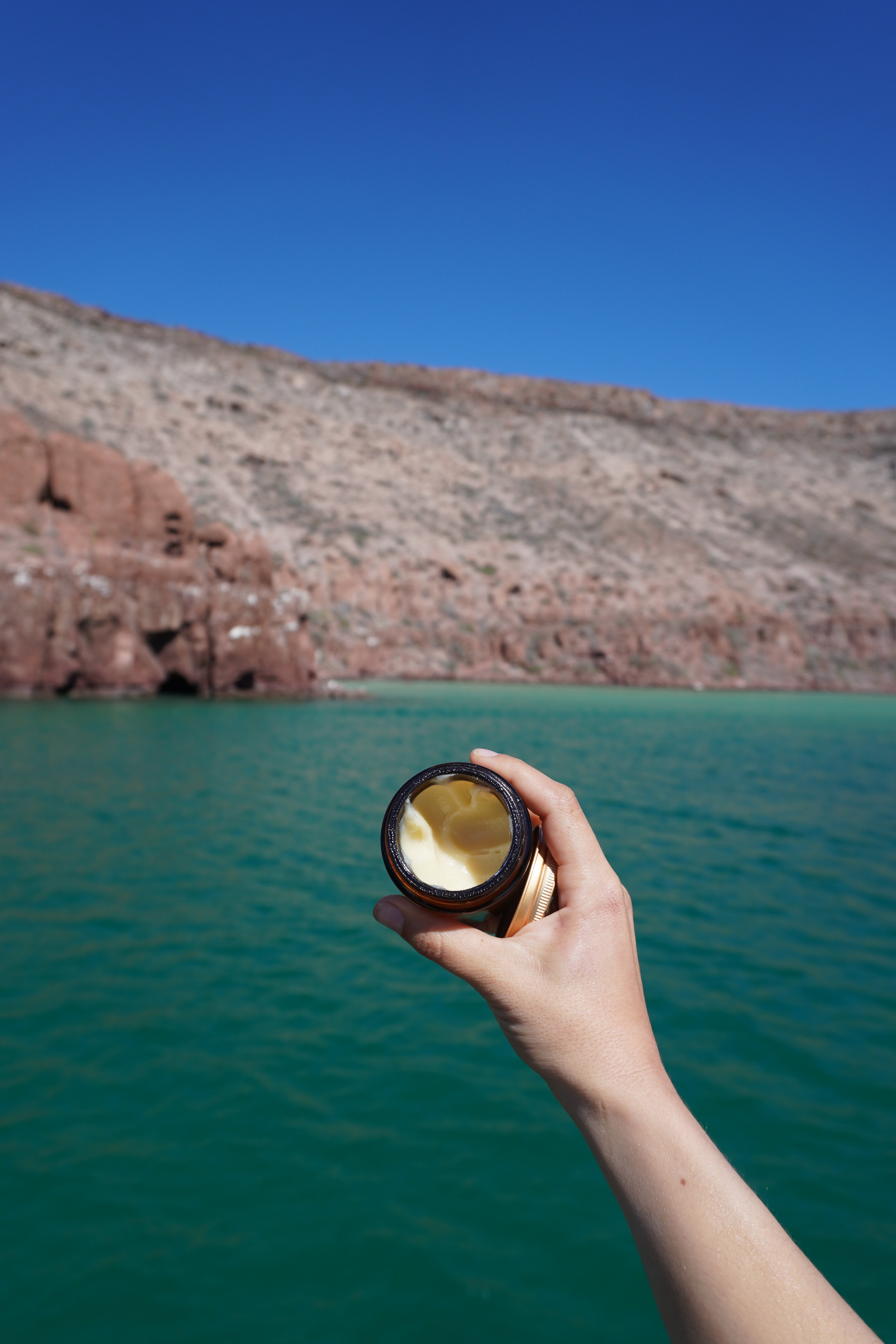 Tallow with Lemongrass + Basil