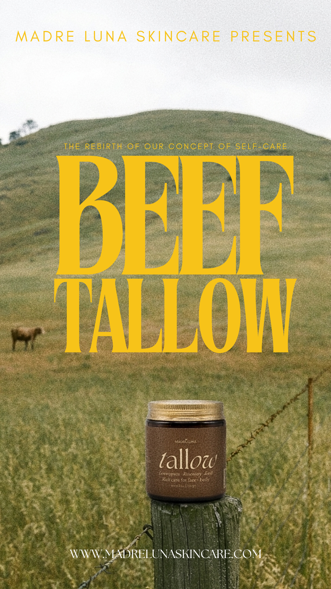 Tallow with Lemongrass + Basil
